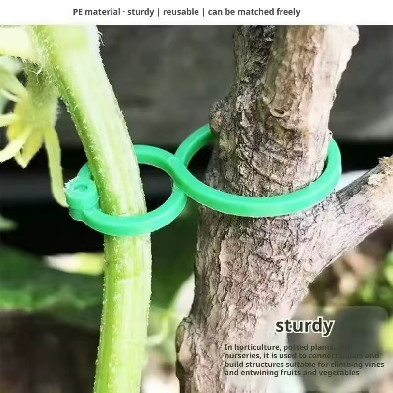 100 attaches pour plantes grimpantes