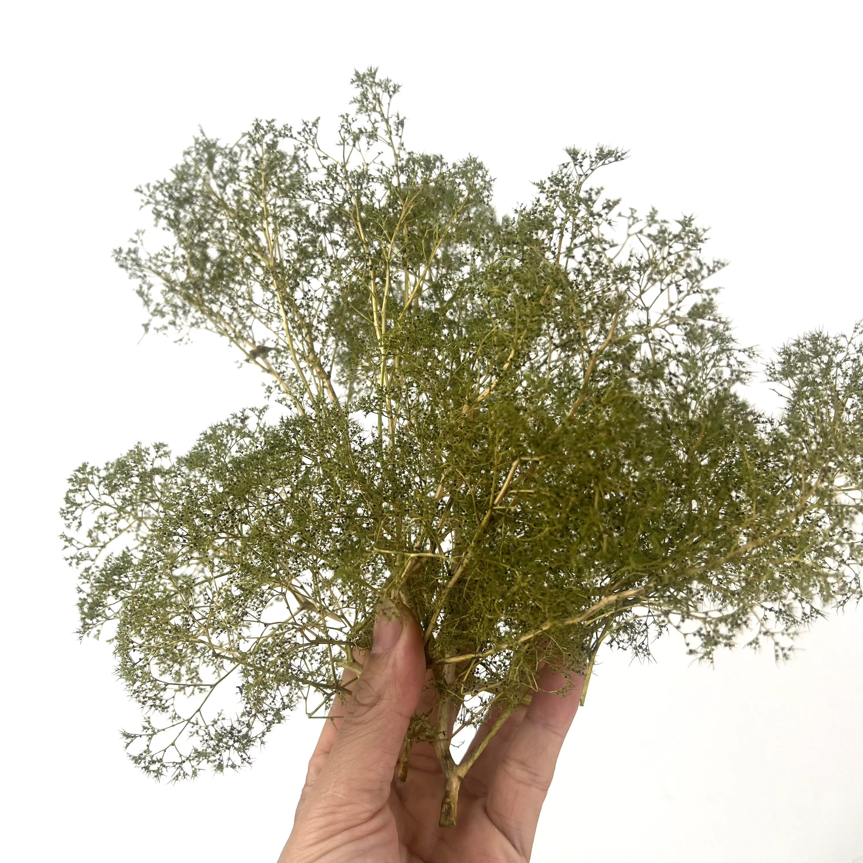 Diorama – arbres et buissons en mousse de mer