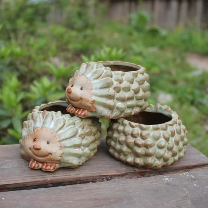 Pot de plantes succulentes en céramique