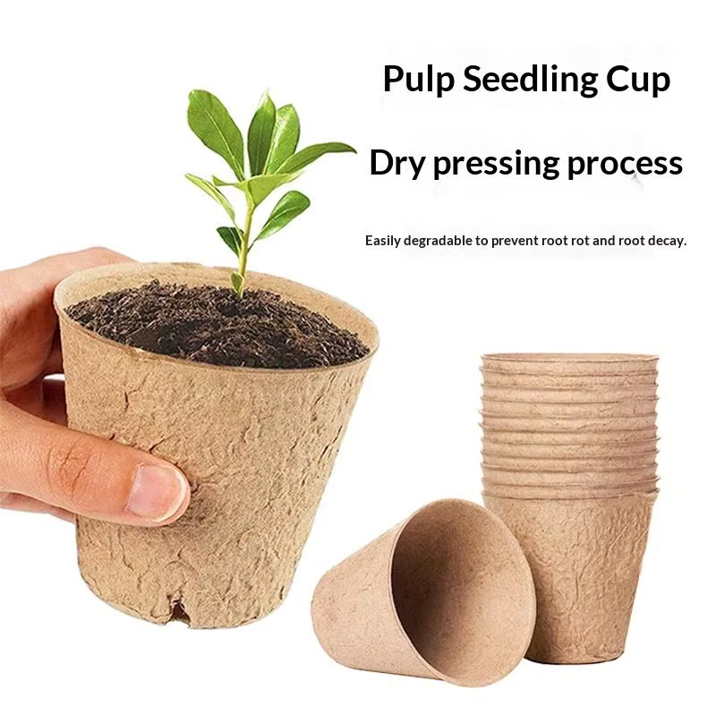 Pots de plantes biodégradables en pulpe écologique