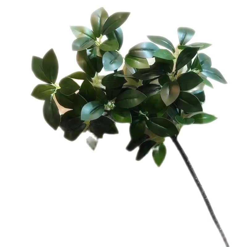 5 pièces artificielle Peperomia Sterm Tetraphylla branche d'arbre plante verte subtropicale