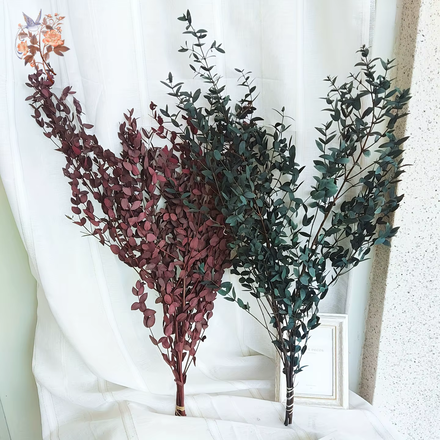 Bouquet de feuilles d'eucalyptus naturelles