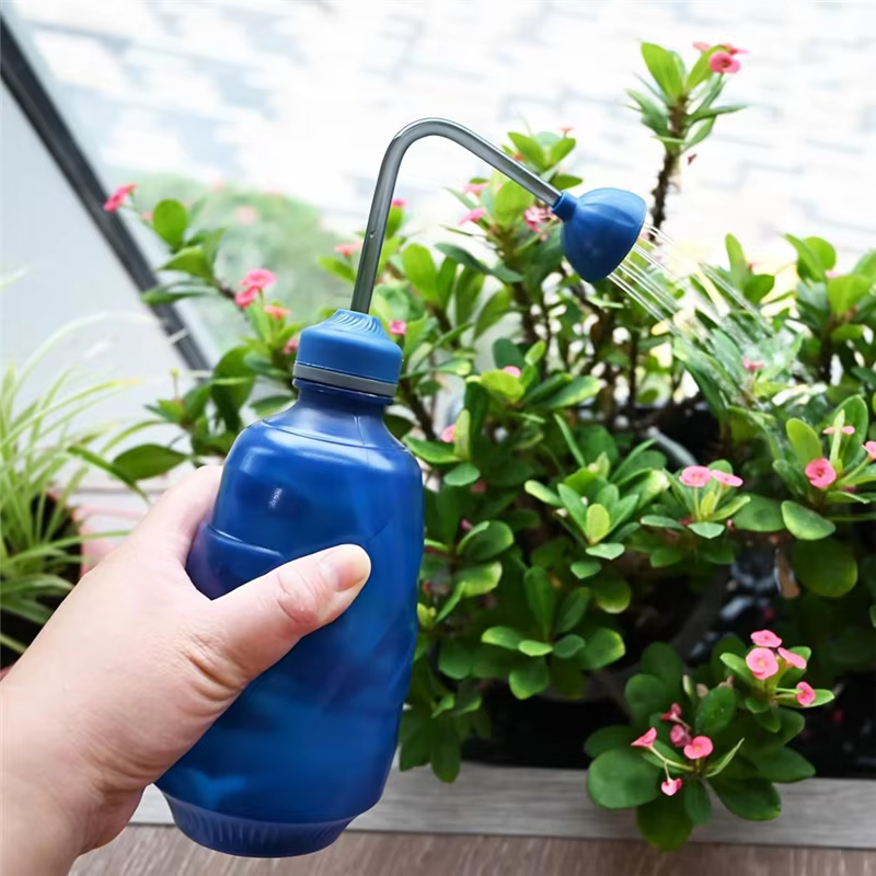 Arrosoir pour semis, petit arrosoir pour plantes de maison