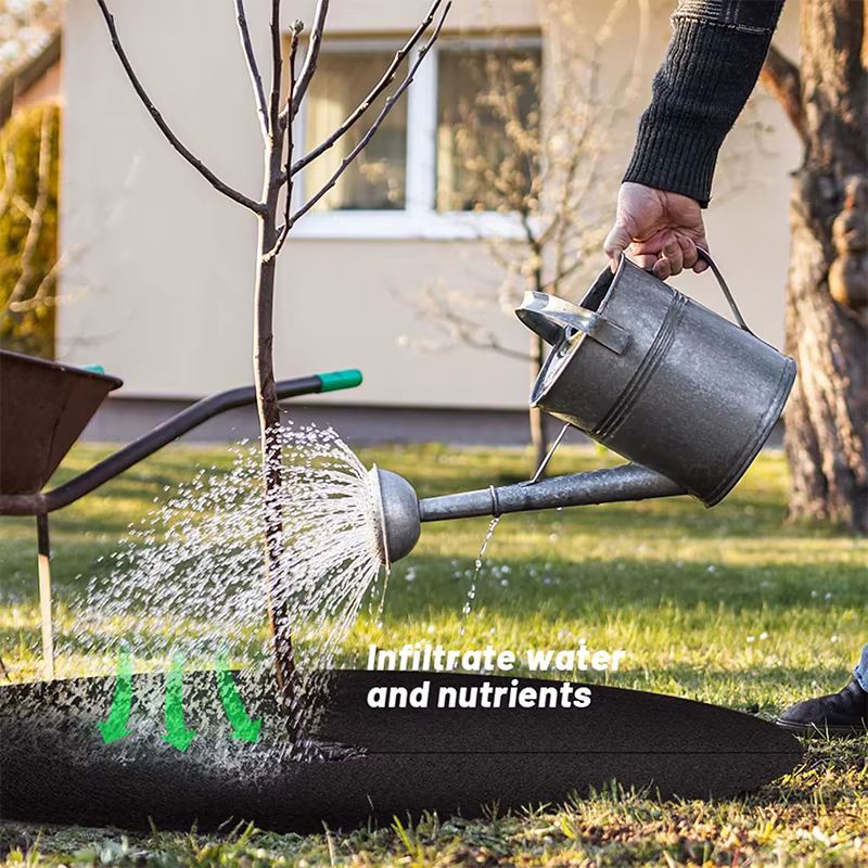 Anneau de paillis de protection d'arbres