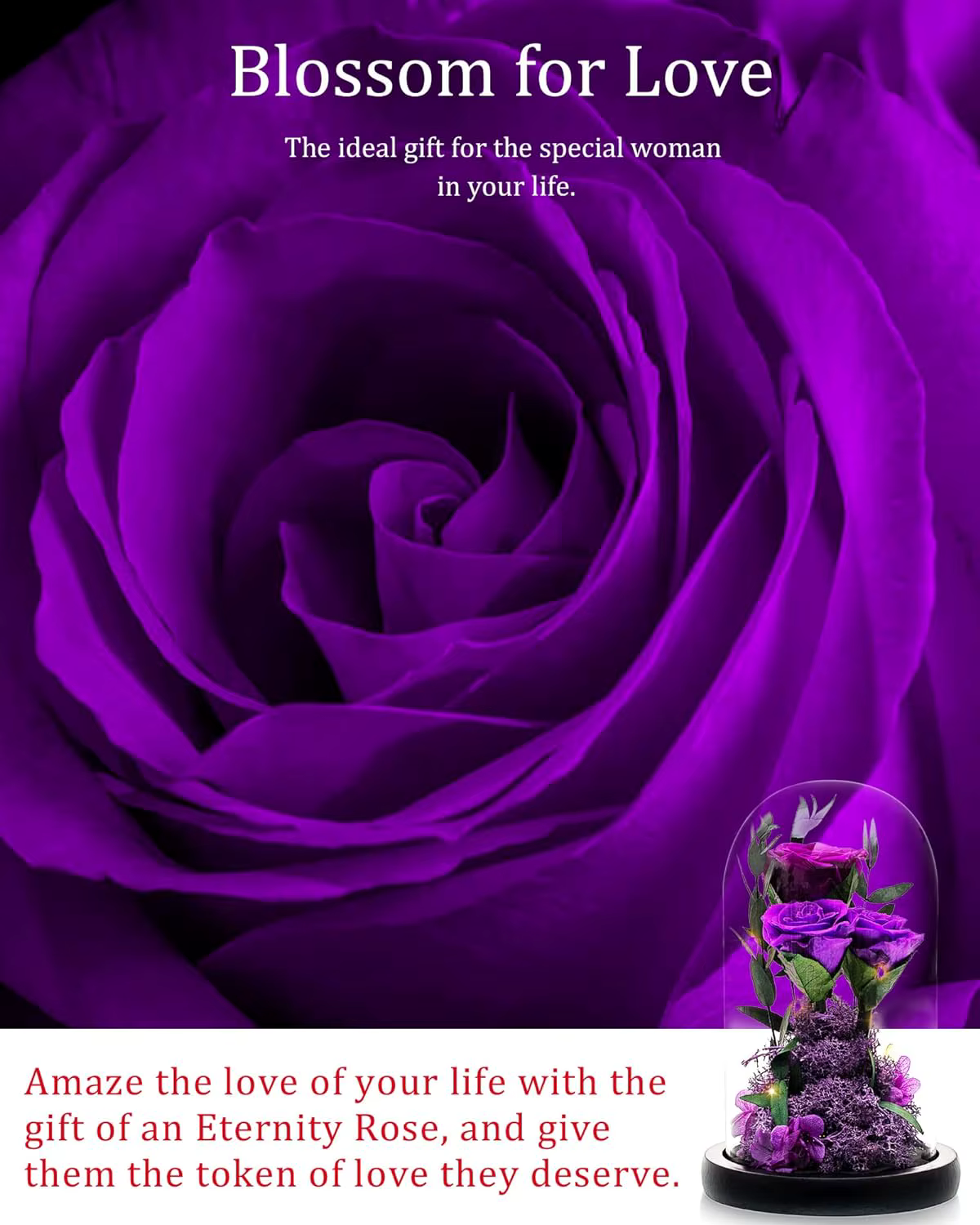 Fleurs de rose La Belle et la Bête pour la fête des mères