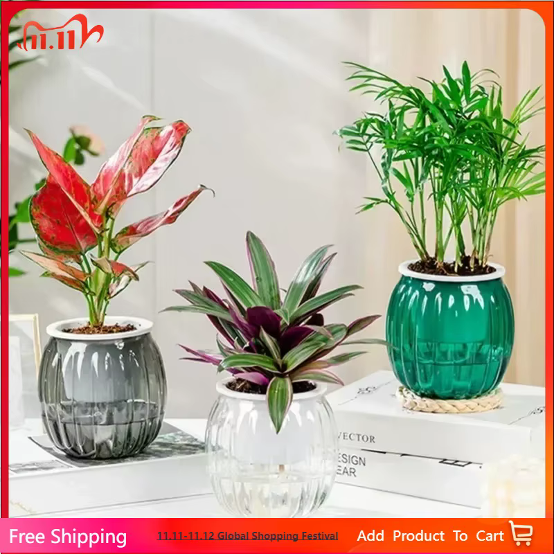 6 pots auto-arrosants, mini pots ronds pour plantes succulentes