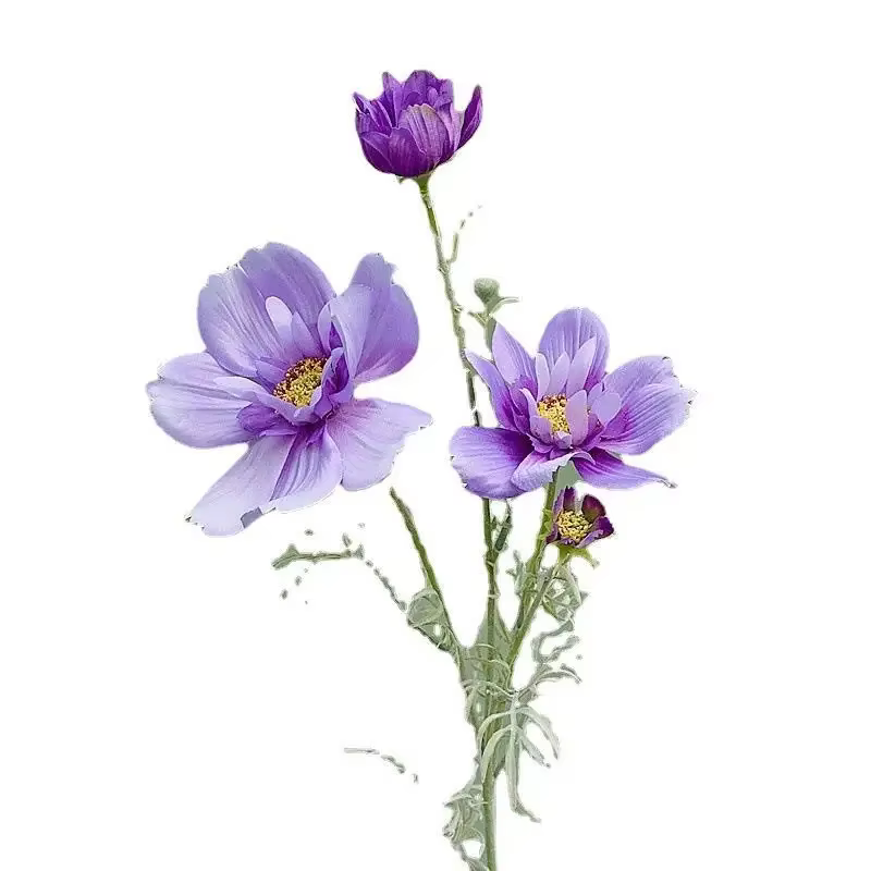 Gesang-Fausse fleur cosmos à branche unique