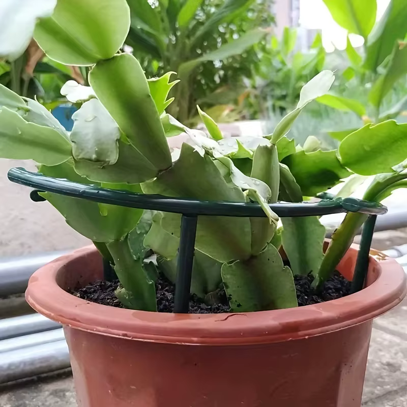 Support de plante en plastique pour serre