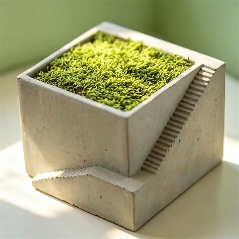 Pot de plantes succulentes en forme d'escalier carré