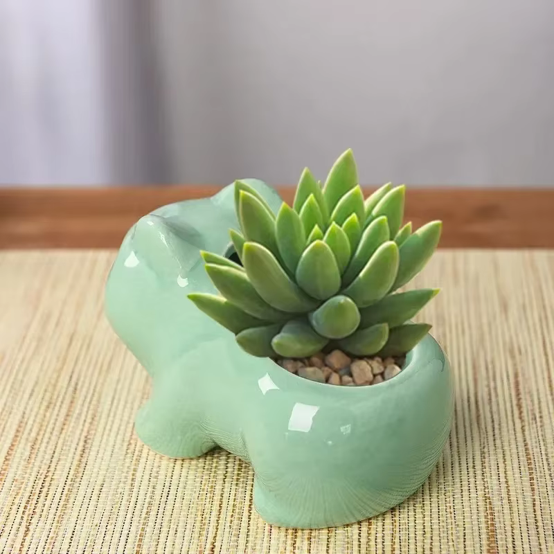 Mini pot de fleurs en céramique avec trou de drainage