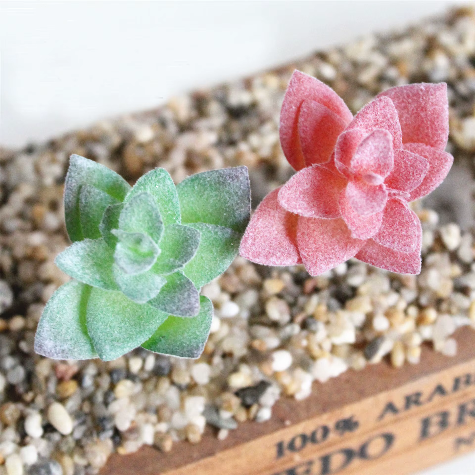 Plantes vertes succulentes artificielles