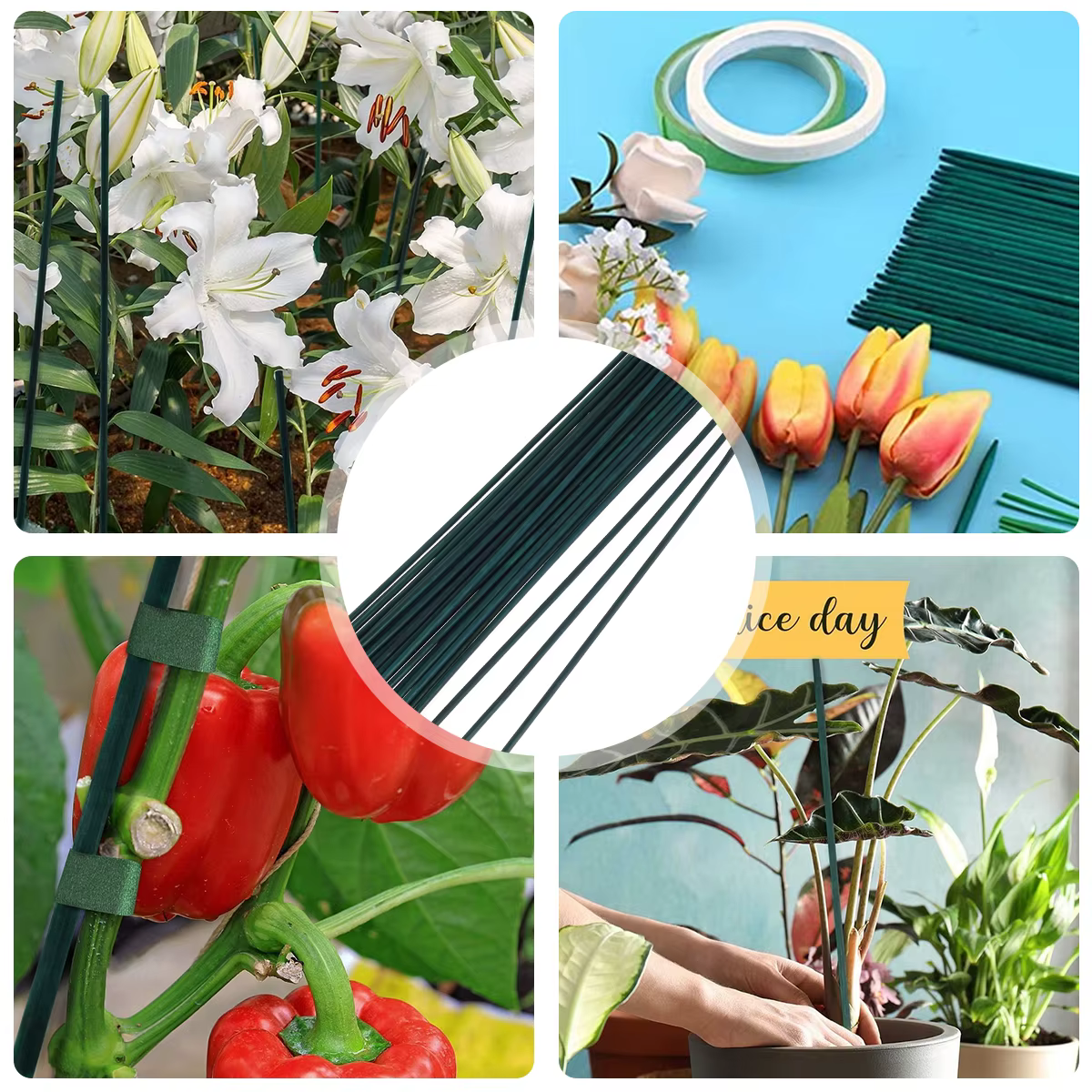 30 pièces bambou vert bâtons plante Support fleur bâton orchidée tige