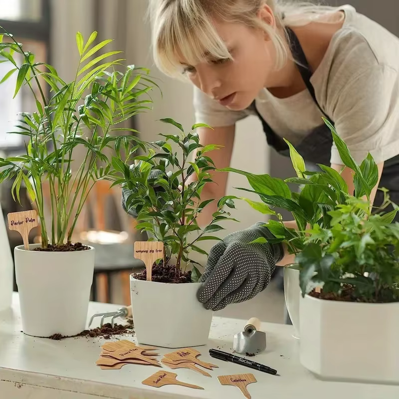 Étiquettes de plantes en bambou