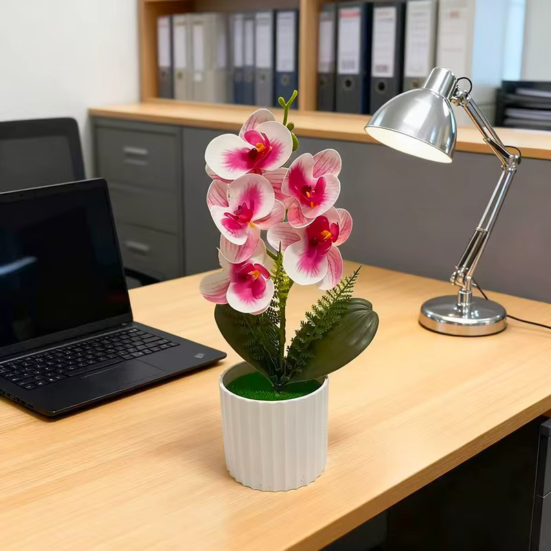 Pot de barre verticale avec 5 orchidées papillon