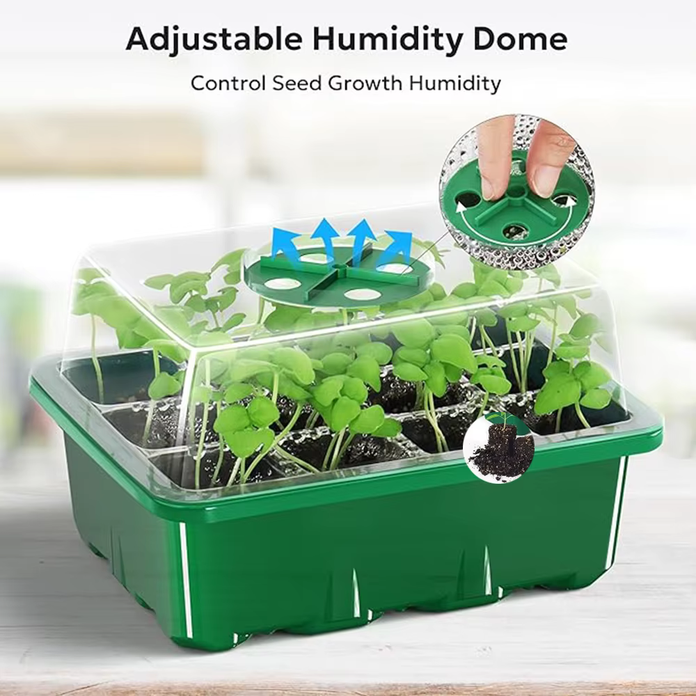 Kit de lancement de plantes de plateau