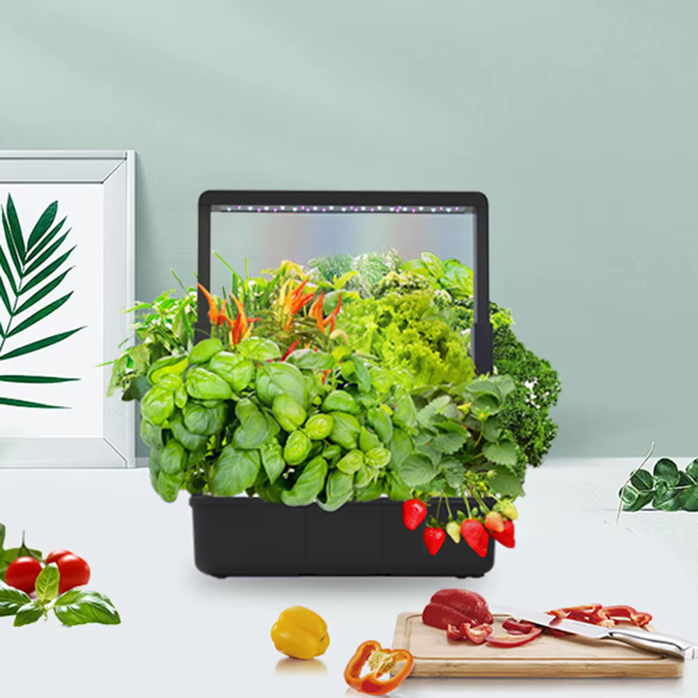 Système de culture hydroponique avec 15 trous de plantation