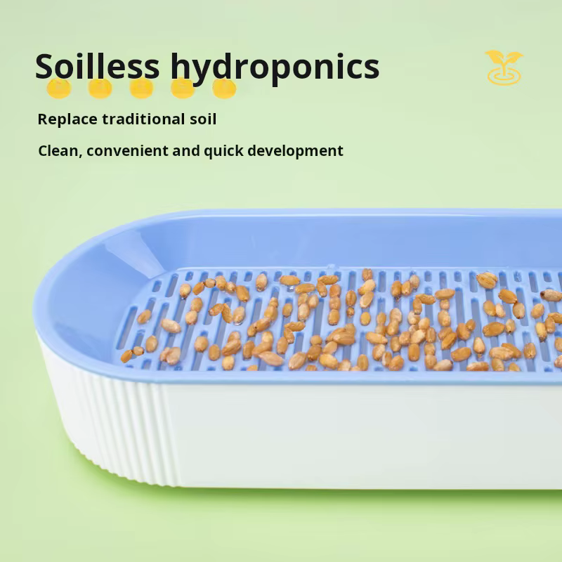 Boîte d'herbe hydroponique pour chat