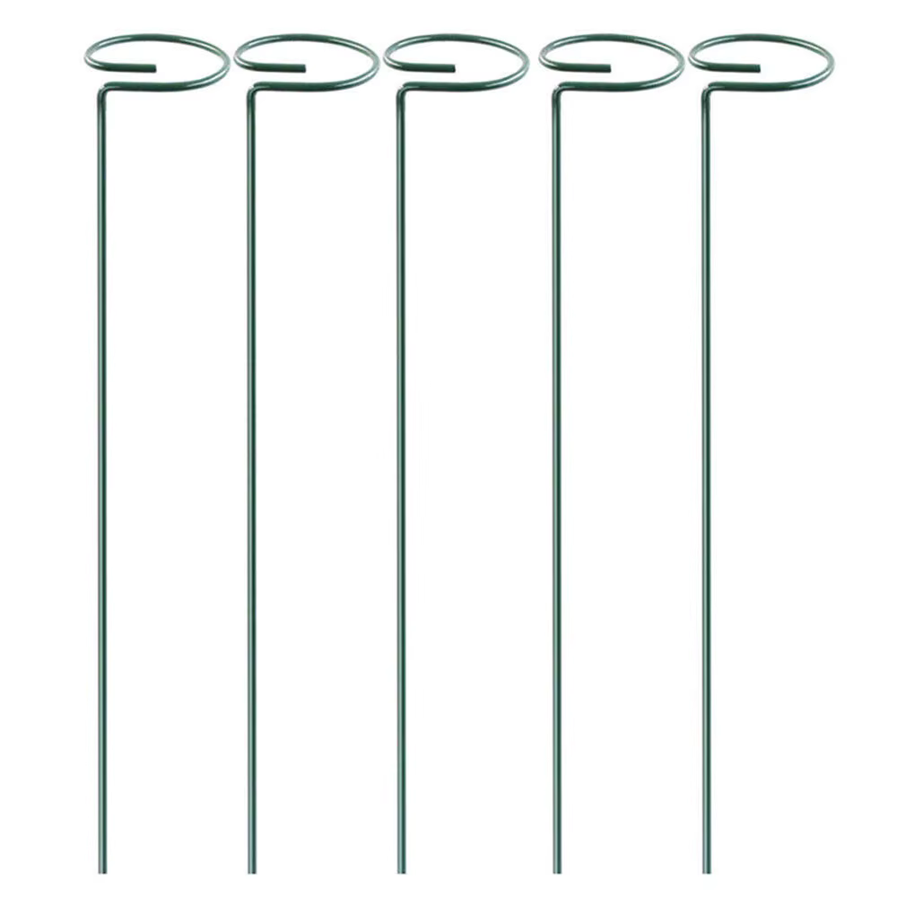 Bâtons de Support pour plantes grimpantes en pot