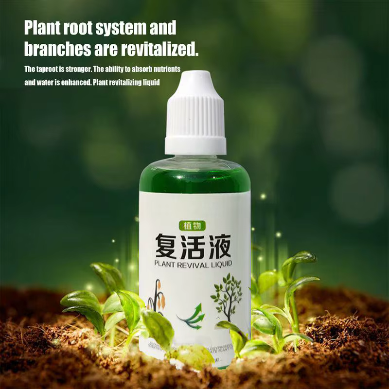 Agent d'enracinement succulent 50ml