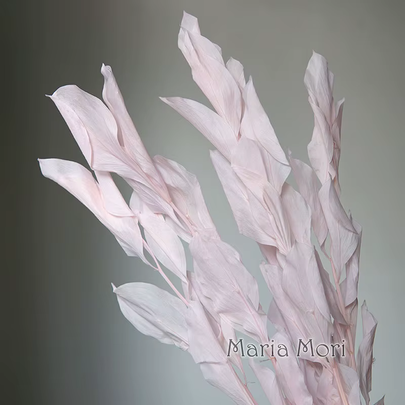 5 pièces/fleur conservée de blanchiment séché feuilles d'orange lys bambou pour arrangement floral fait à la main bureau maison décoration de mariage