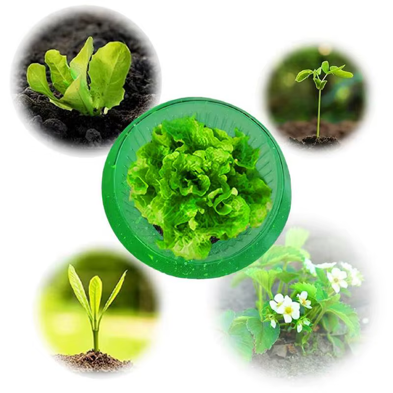 Plantes limace Protection anneaux légumes housse