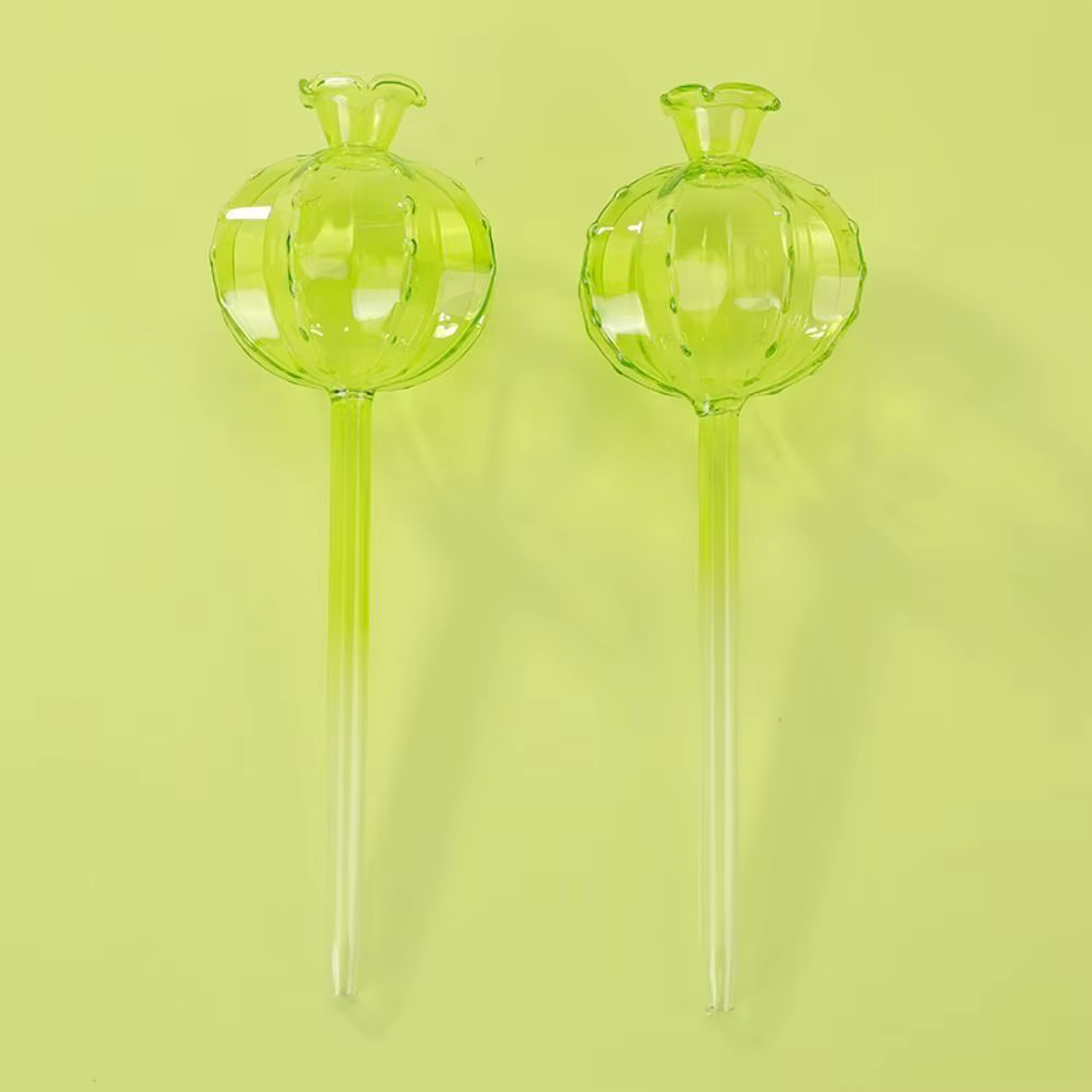 Communautés teur d'Arrosage existent en Verre pour Plantes d'Nik
