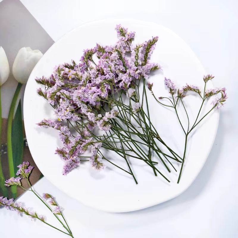 6 pièces, fleurs séchées pressées en herbe de cristal véritable
