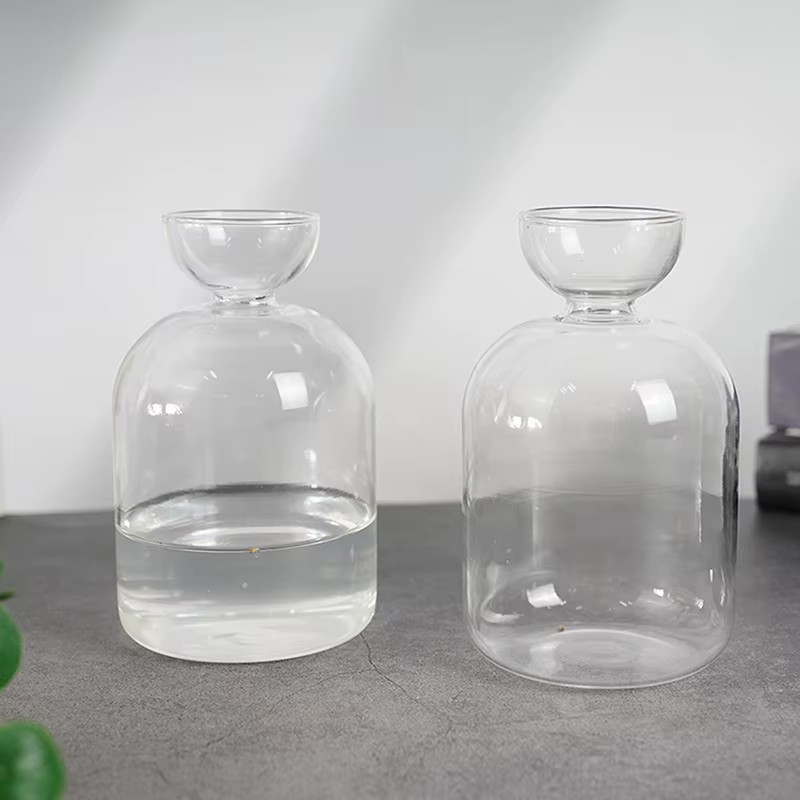 Vase de démarrage de graines d'avocat