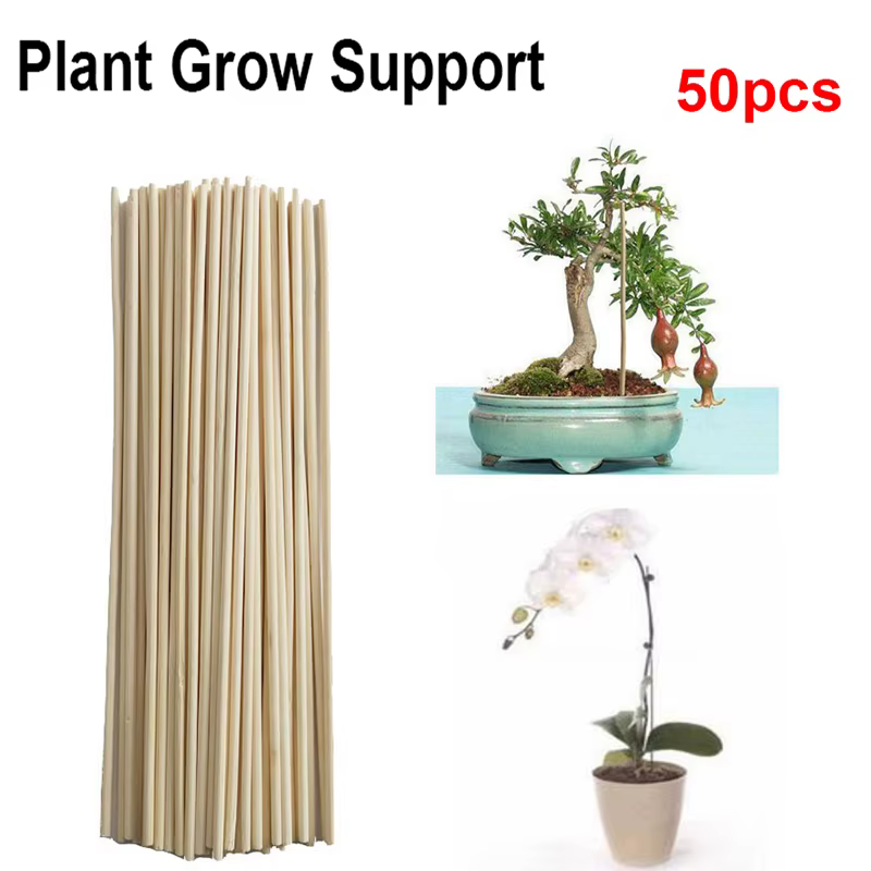 Lot de 50 bâtons de support en bambou pour plantes, pour fleurs et canes
