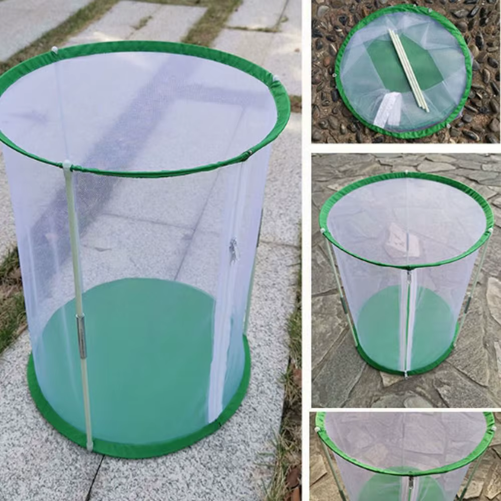 Mini serre coupe-vent en PVC transparent pour plante