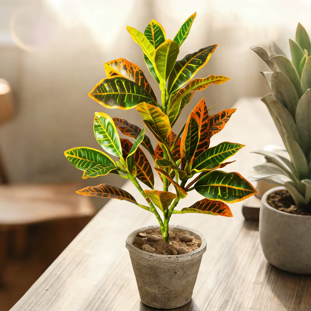 Plantes artificielles de croton de 24-41 cm