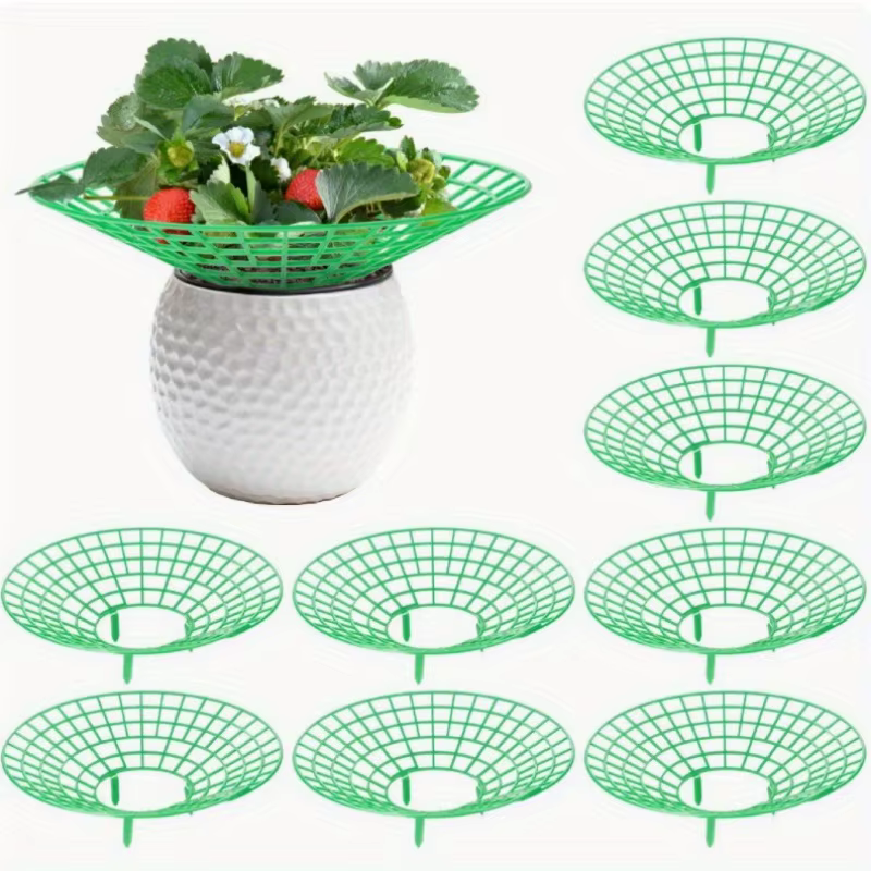Supports pour plantes de fraises avec trois pieds robustes