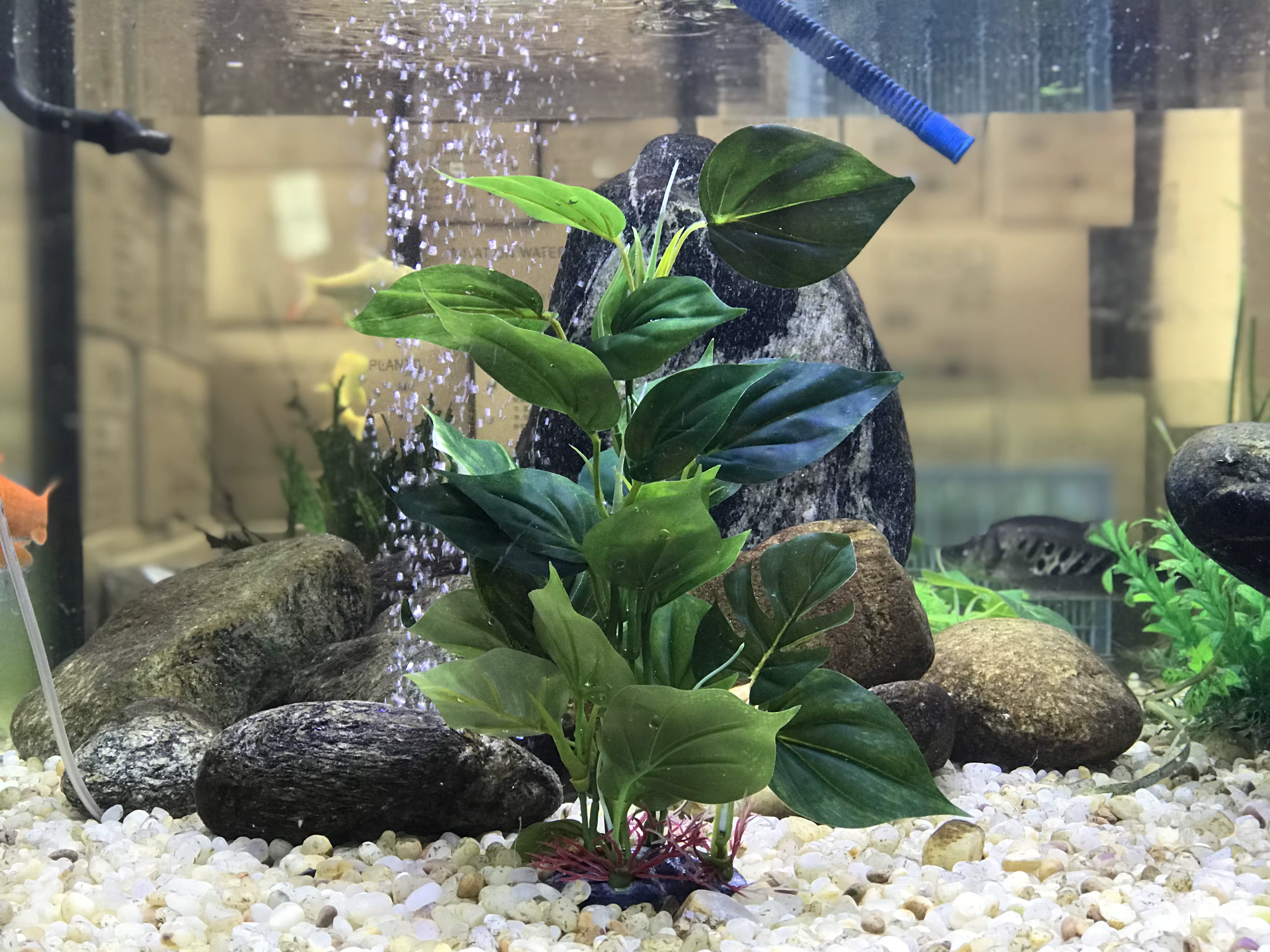 Plantes artificielles de décoration d'aquarium