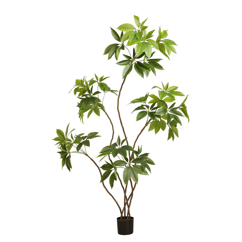 Simulation de plantes vertes en forme de grande feuille