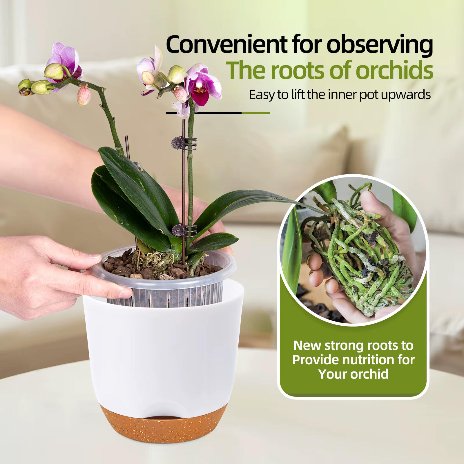 Pots à orchidées avec trous