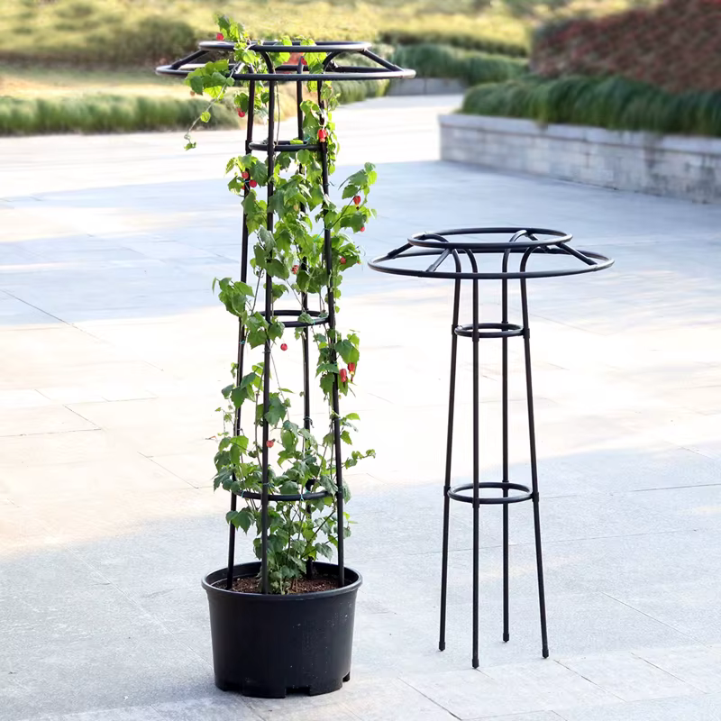 Support de plantes grimpantes en treillis de fleurs de Style parapluie
