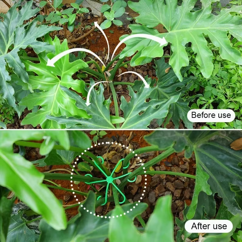 Kit de 4 supports anti-éclatement pour plantes