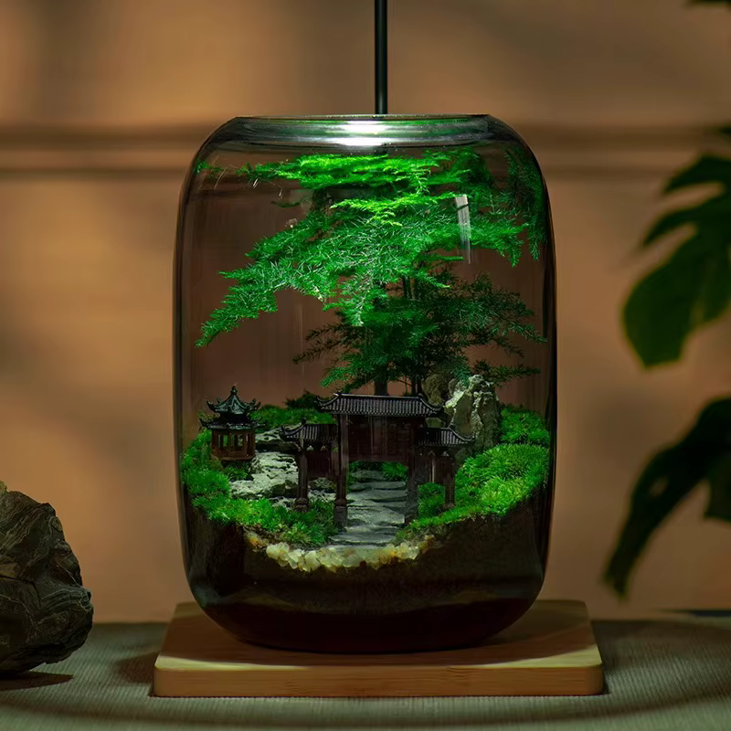 Kit de terrarium en fibre végétale de qualité supérieure avec conception de sol de style campagnard pour la maison ou