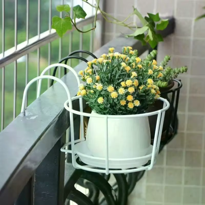 Supports en fer pour plantes suspendues