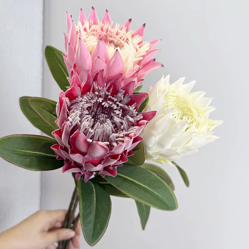 Fleur Bodhi sud-africaine floquée