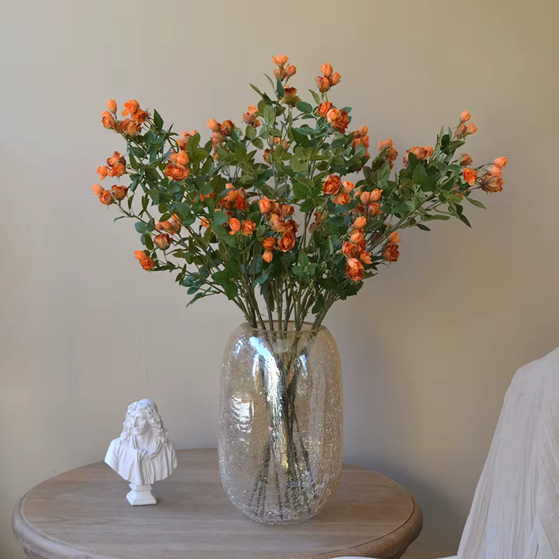 Mini Bouquet de roses, plantes