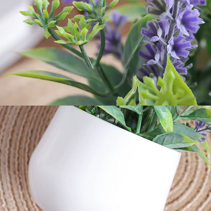 Simulation de plantes en pot