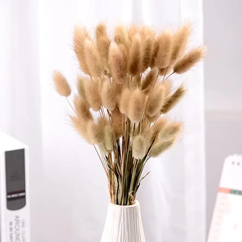 Fleurs naturelles séchées pour décoration de gâteau