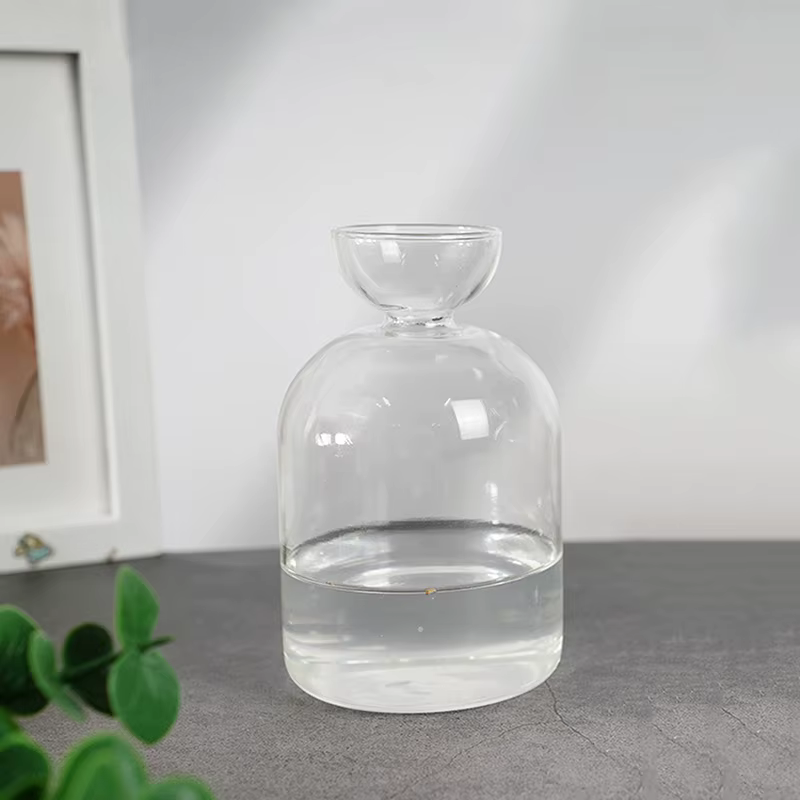 Vase hydroponique transparent en verre pour semis d'avocat