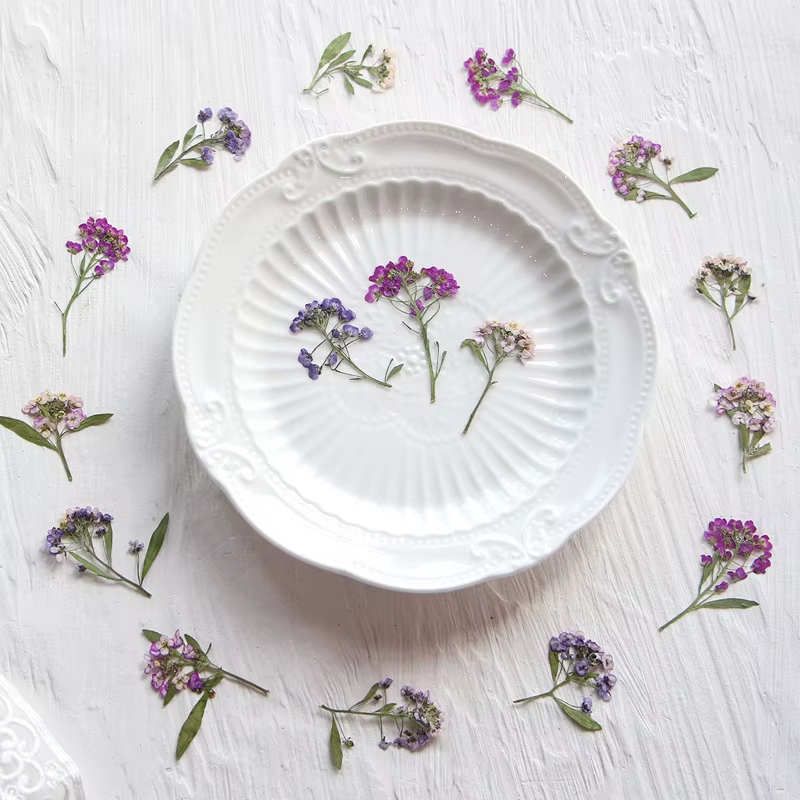Mini fleur pressée parfumée en forme de boule de neige