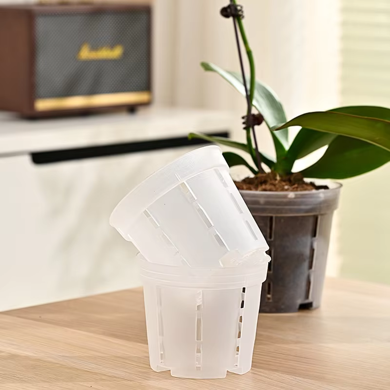 Pots d'orchidées en plastique