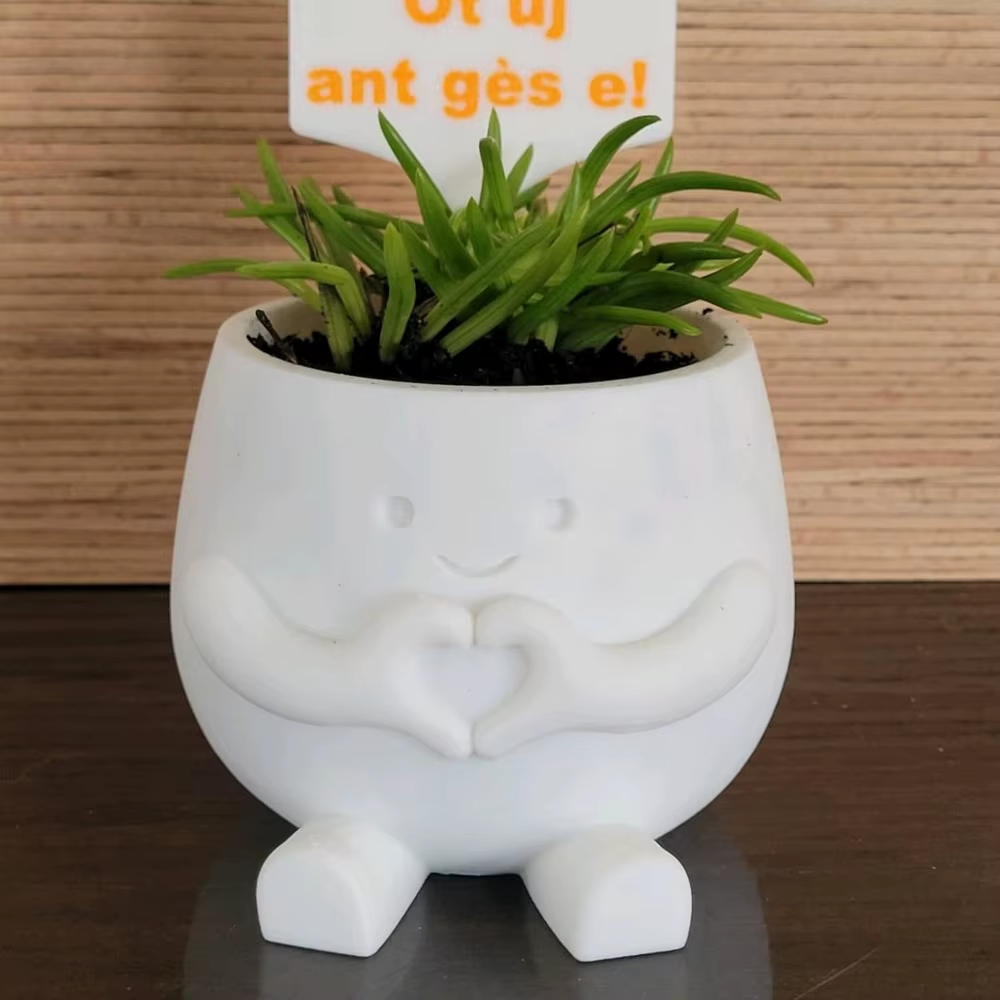 Pot de fleurs imprimé en 3D en forme de mains de cœur