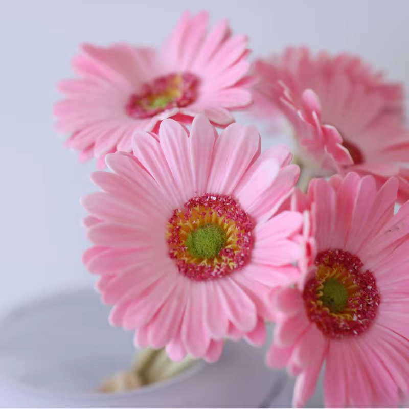 Lot de 2 Gerberas artificielles sans feuilles en PU bleu