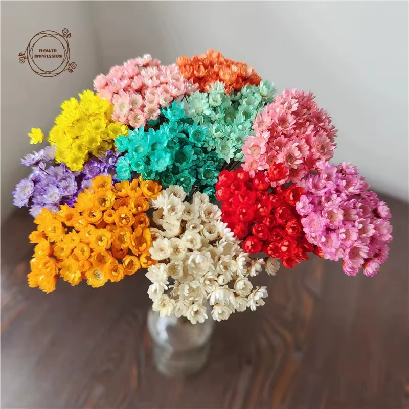 Petite étoile naturelle marguerite fleurs séchées décor de mariage