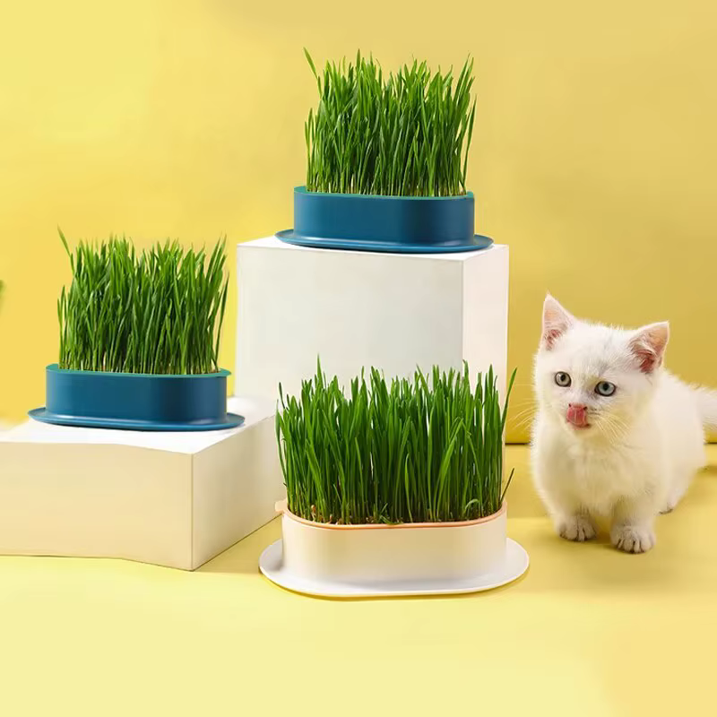 Nouveau plat de germination de chat de compagnie Pot de culture plante hydroponique